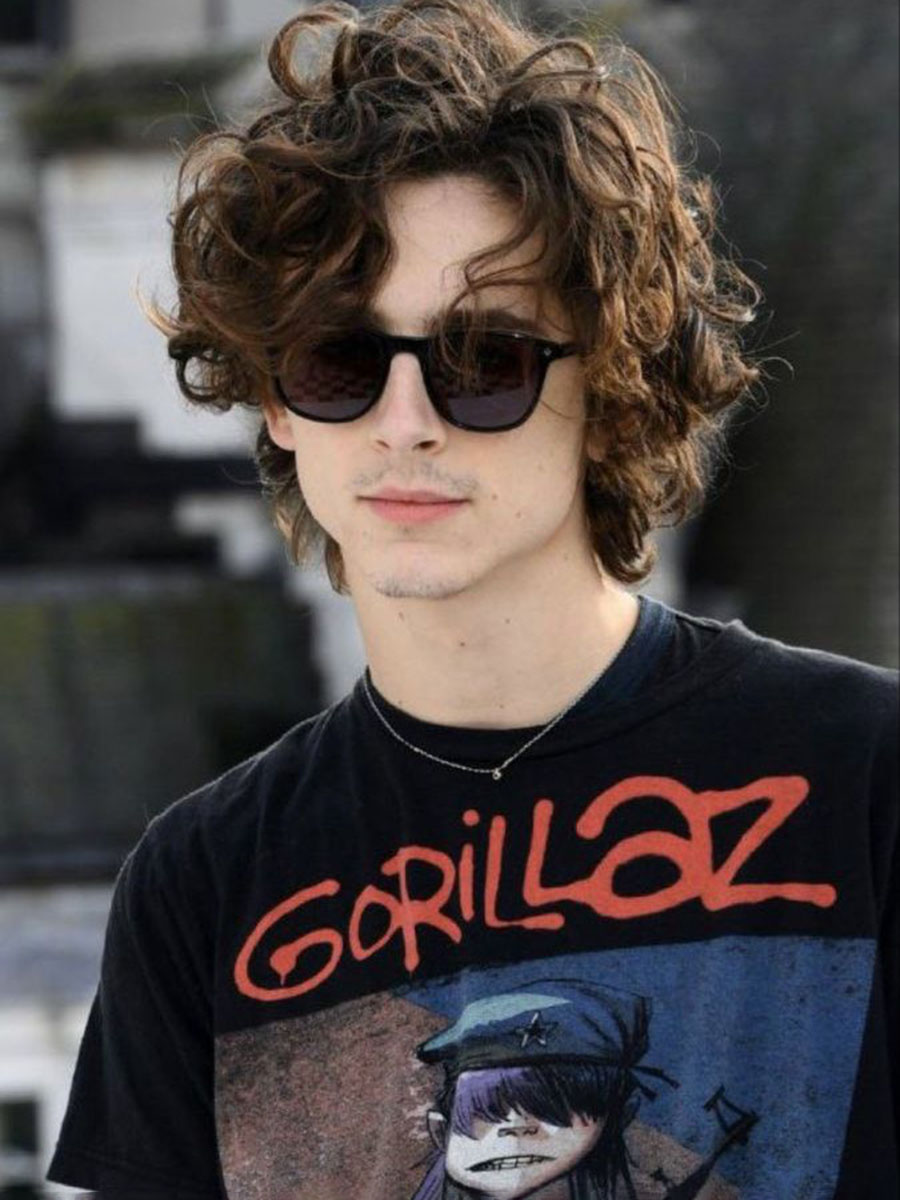 Timothée Chalamet_male celebrities with long hair