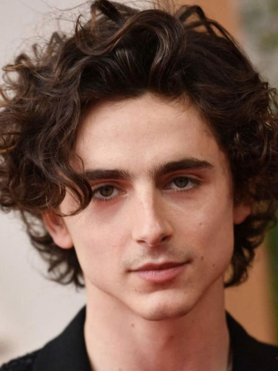 Timothée Chalamet_male celebrities with long hair