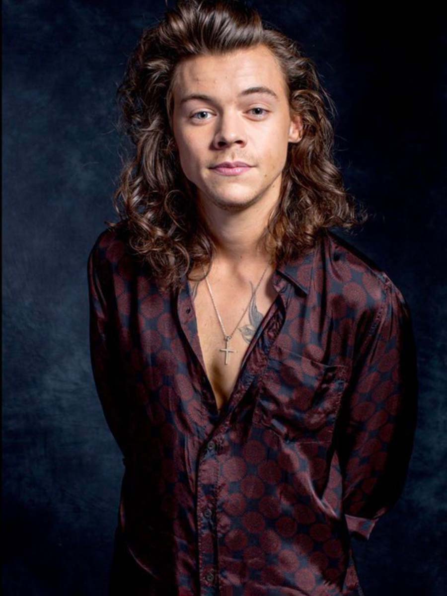 male celebrities with long hair _Harry Styles